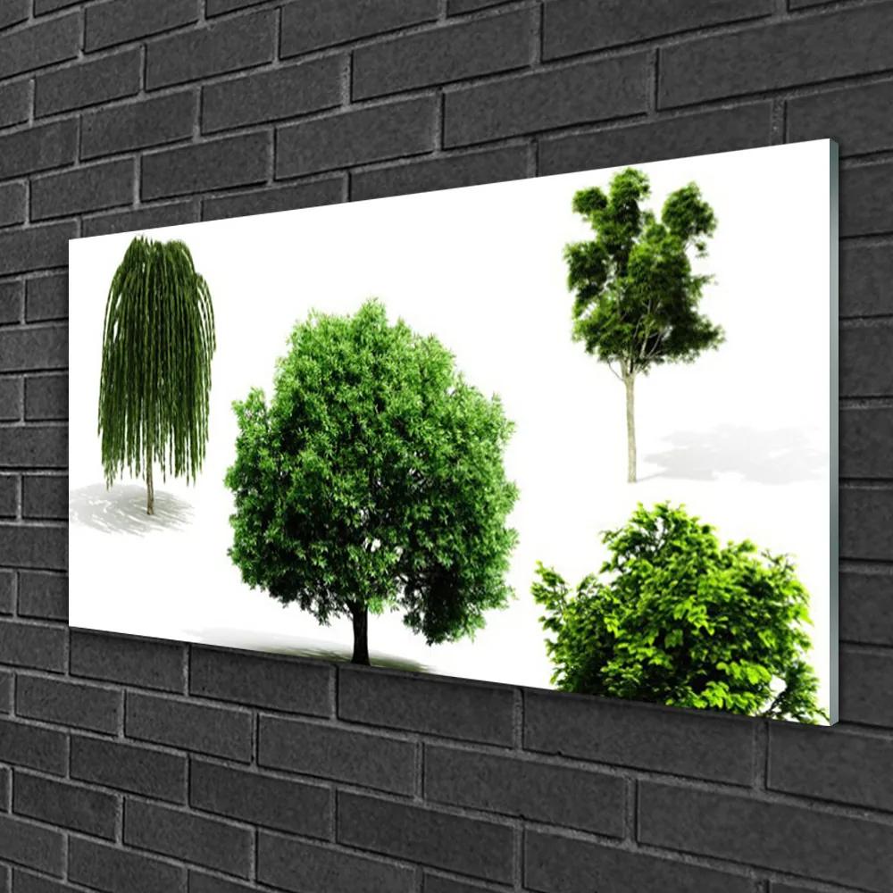 Skleneny obraz Stromy príroda 120x60 cm
