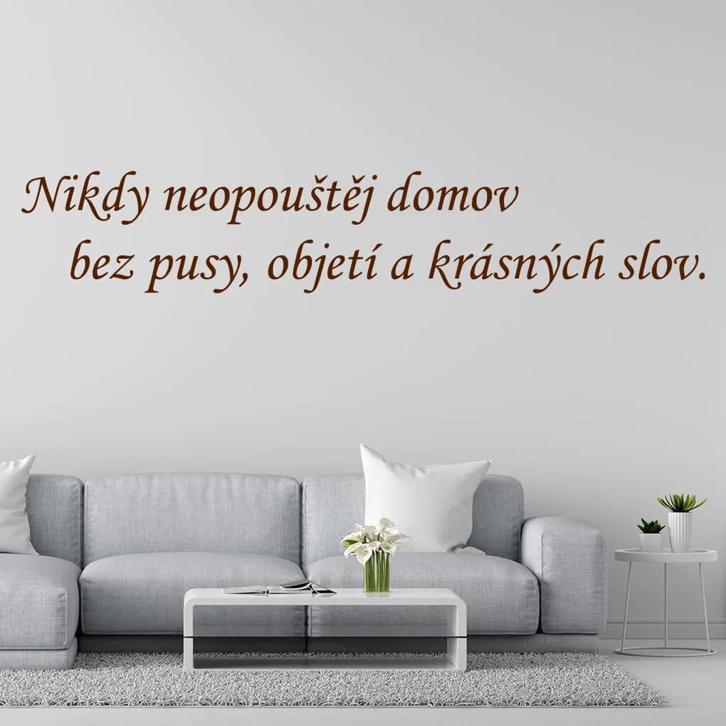 Veselá Stena Samolepka na stenu na stenu Nikdy neopúšťaj domov bez pusy, objatia a krásnych slov Farba: černá
