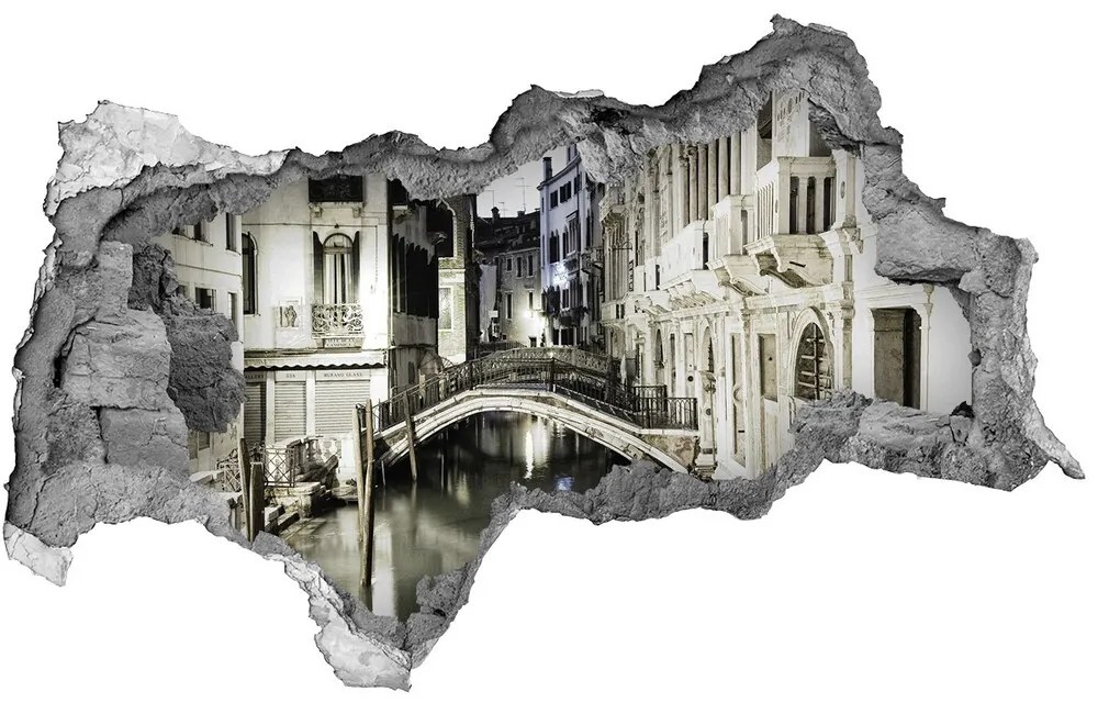 Fototapeta diera na stenu 3D Venice italy nd-b-23184443