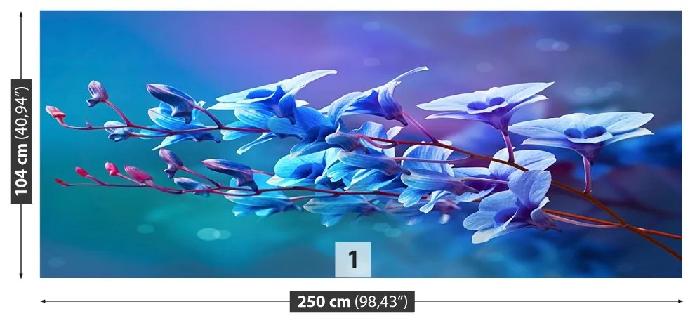 Fototapeta Vliesová Modrá orchidea 152x104 cm