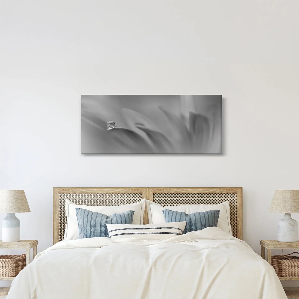 Obraz - Kvapka na kvete, čiernobiela (120x50 cm)