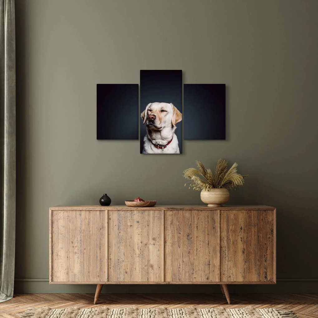 Obraz labradora (90x60 cm)