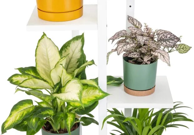 Stojan na kvety TOWER biely