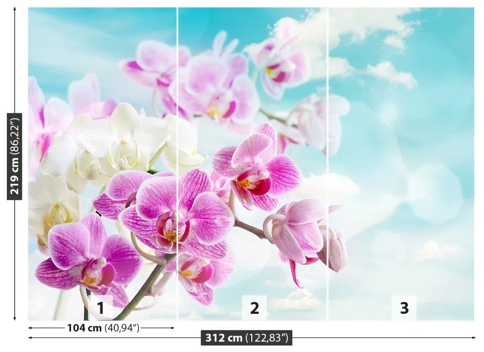 Fototapeta Vliesová Orchidey modrá 208x146 cm