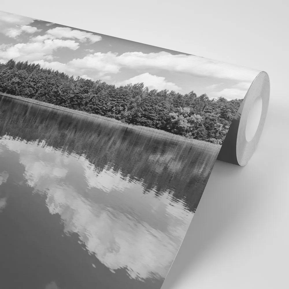 Samolepiaca fototapeta čiernobiele jazero v lete - 150x100