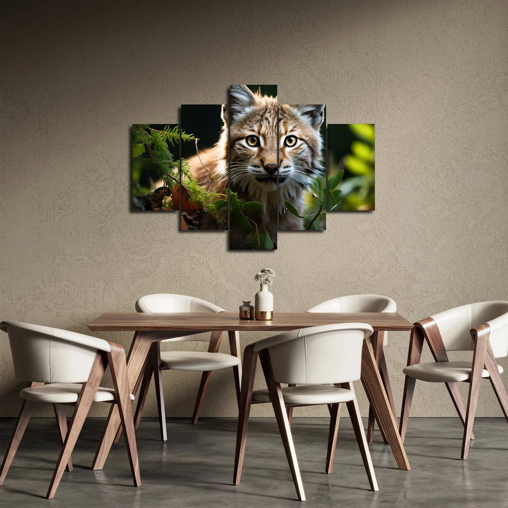 Obraz - Rys (150x105 cm)