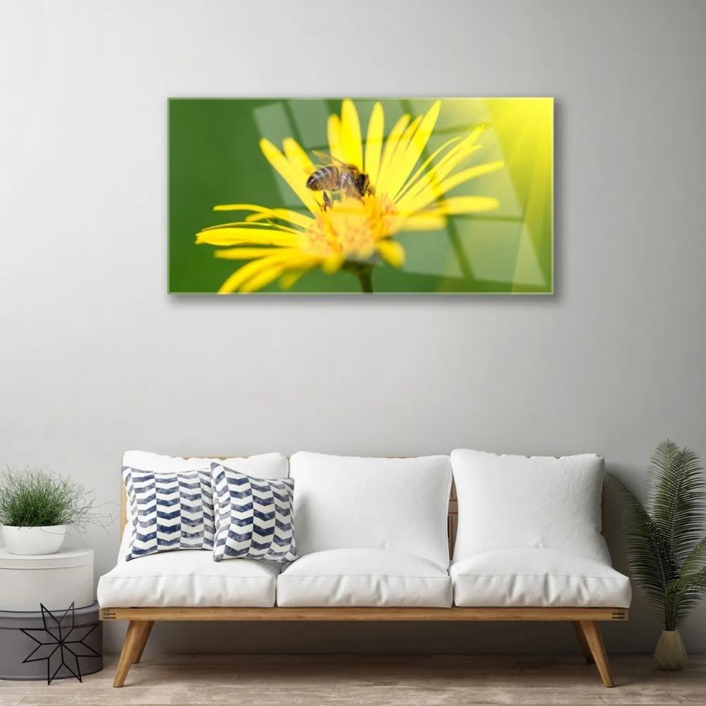 Skleneny obraz Osa kvet rastlina príroda 100x50 cm