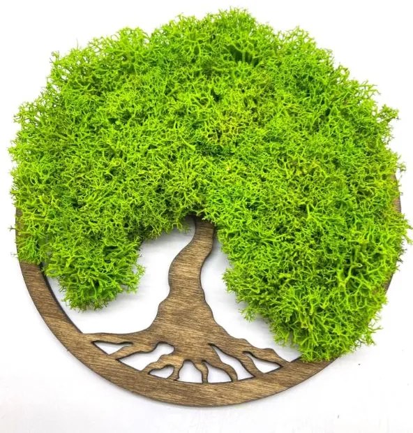 Strom na stenu z machu Faye 20 cm