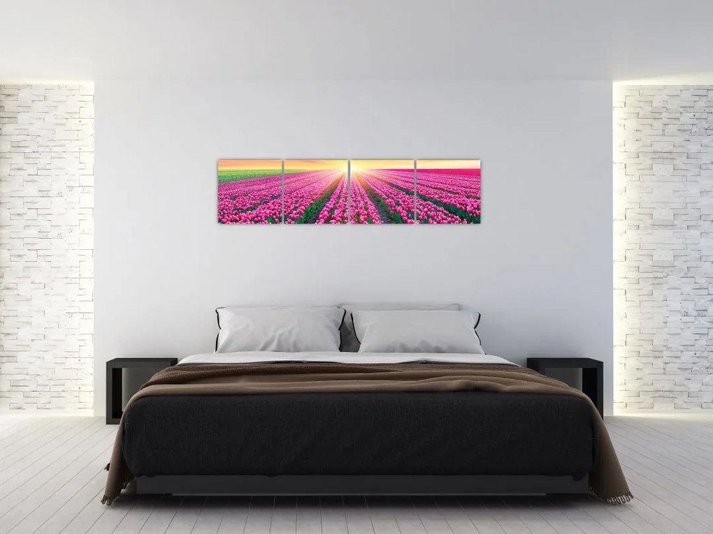 Obraz - polia kvetov