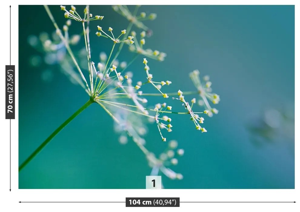Fototapeta Vliesová Kvetinový kôpor 152x104 cm