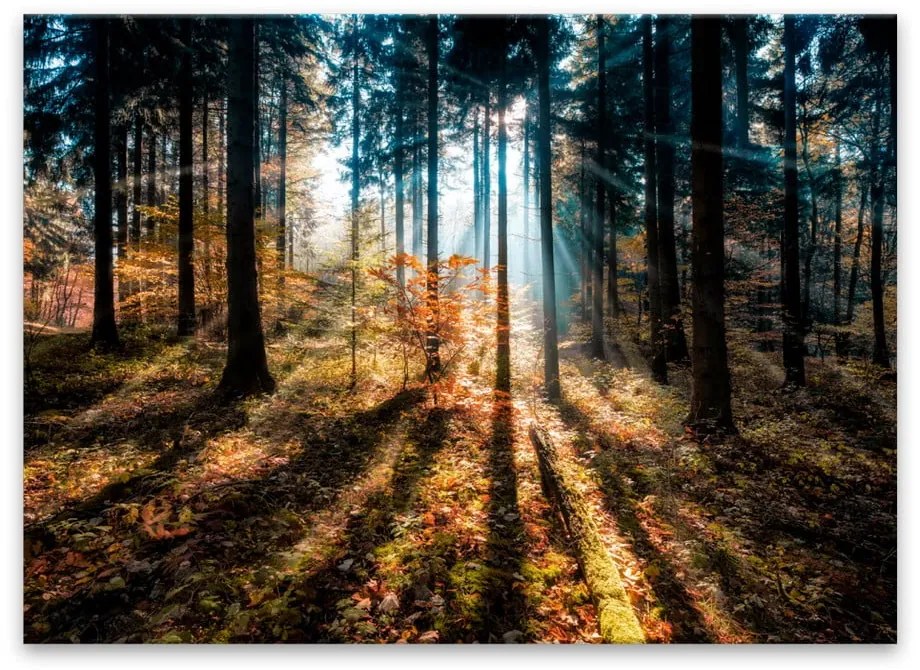 Obraz Styler Glasspik Autumn Sunset, 70 × 100 cm