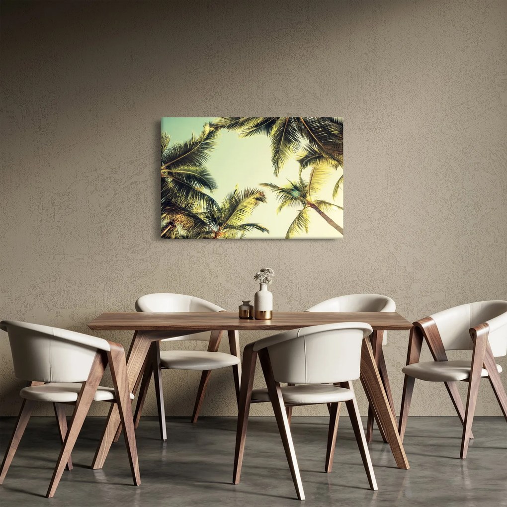 Obraz s kokosovými palmami (90x60 cm)