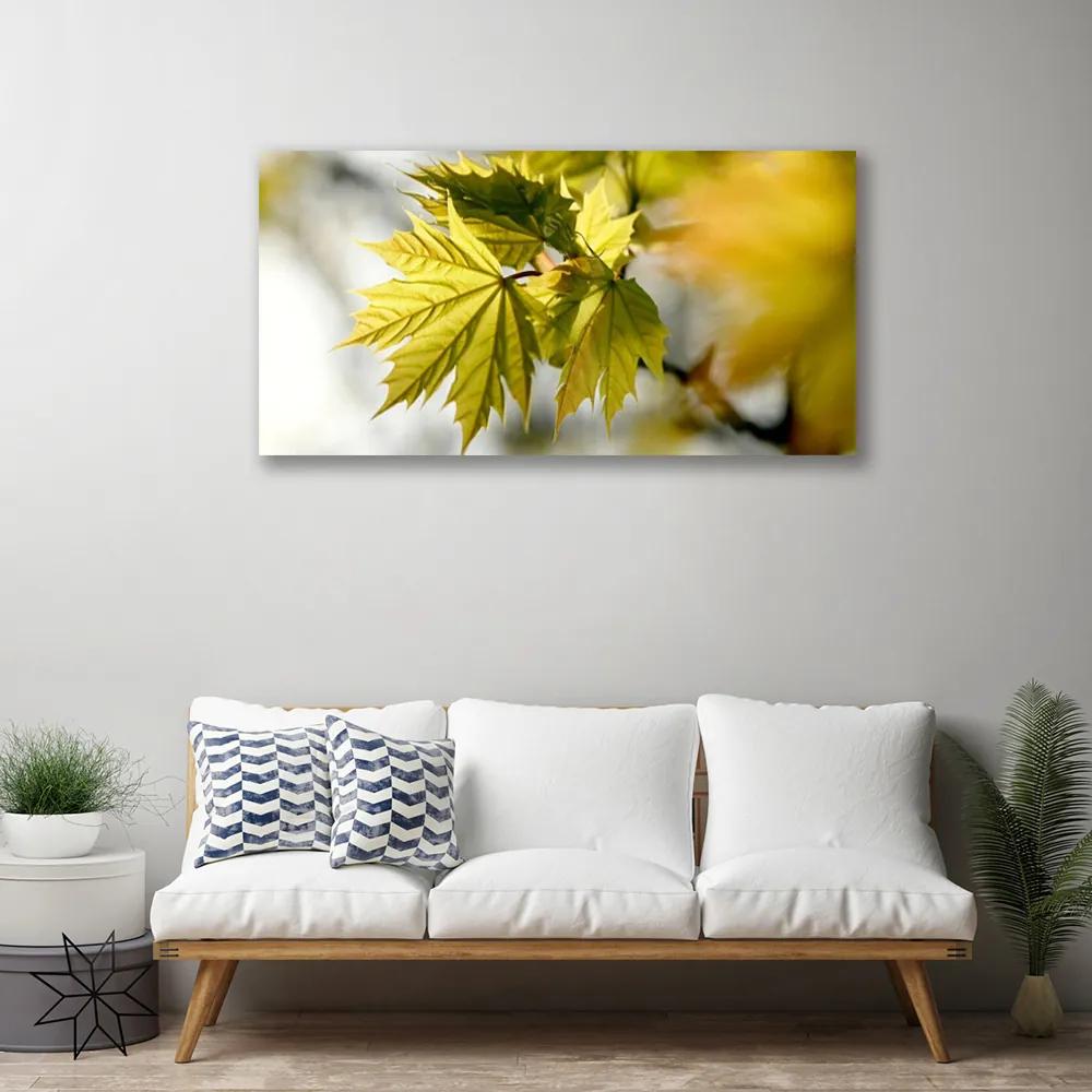 Obraz na plátne Listy rastlina 140x70 cm
