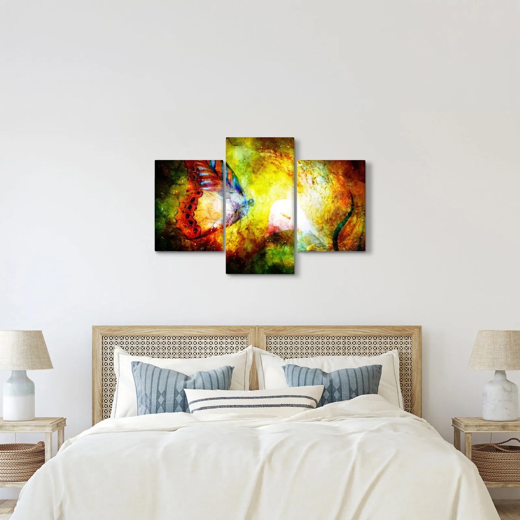 Obraz - Kozmický motýľ (90x60 cm)