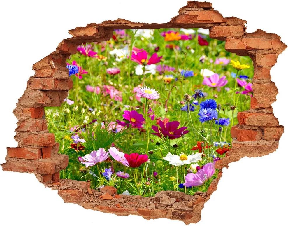 Samolepiaca nálepka fototapety Poľné kvety WallHole-cegla-90x70-169402975