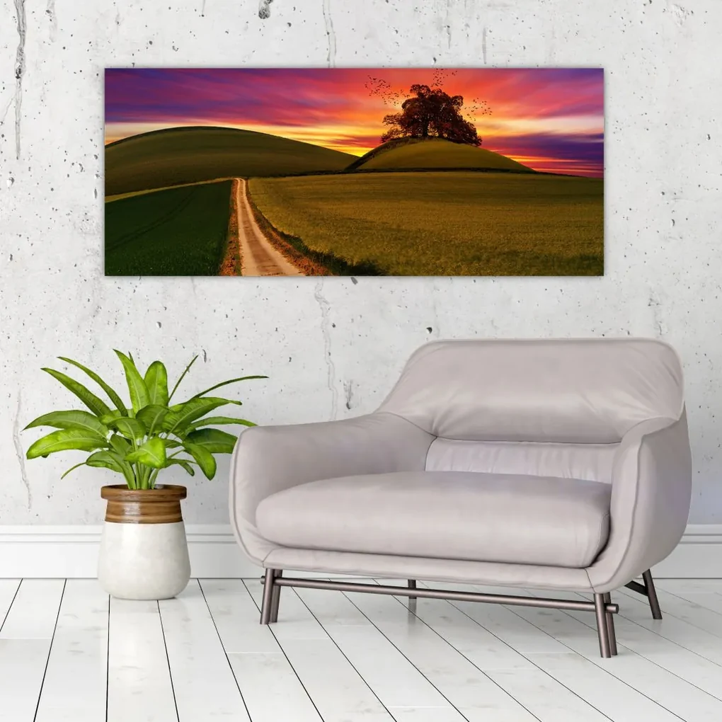 Obraz poľa a farebného neba (120x50 cm)