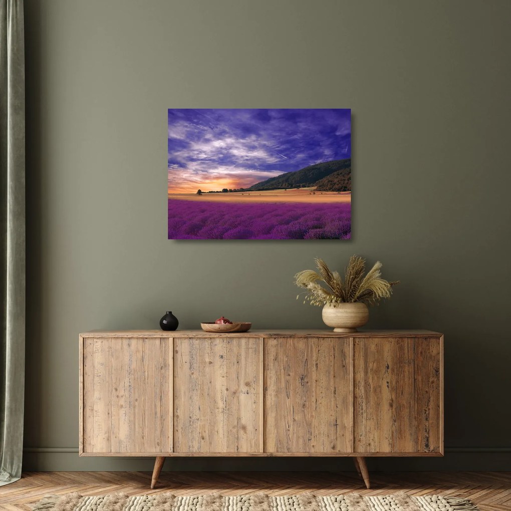 Sklenený obraz levanduľovej lúky (70x50 cm)