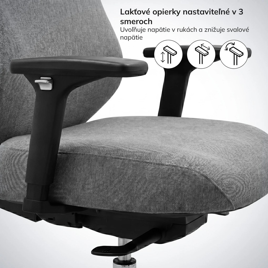 Ergonomická kancelárska stolička tmavosivá AXIS