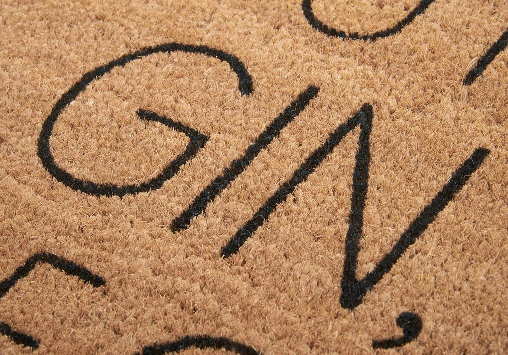 Hanse Home, Rohožka If you have gin, come on in 105661 – na von aj na doma, 45x75, hnedá, chodba / predsieň