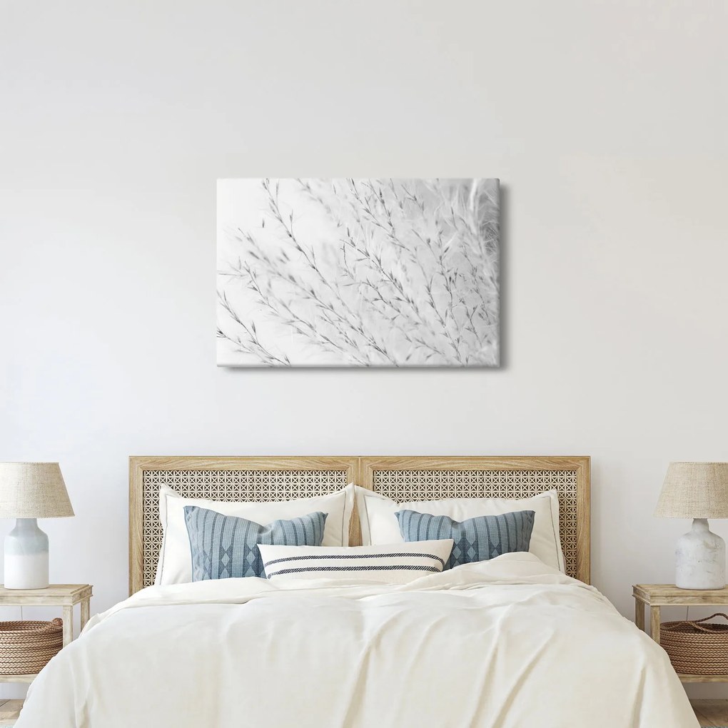 Obraz - Pampas grass N⁰2 (90x60 cm)