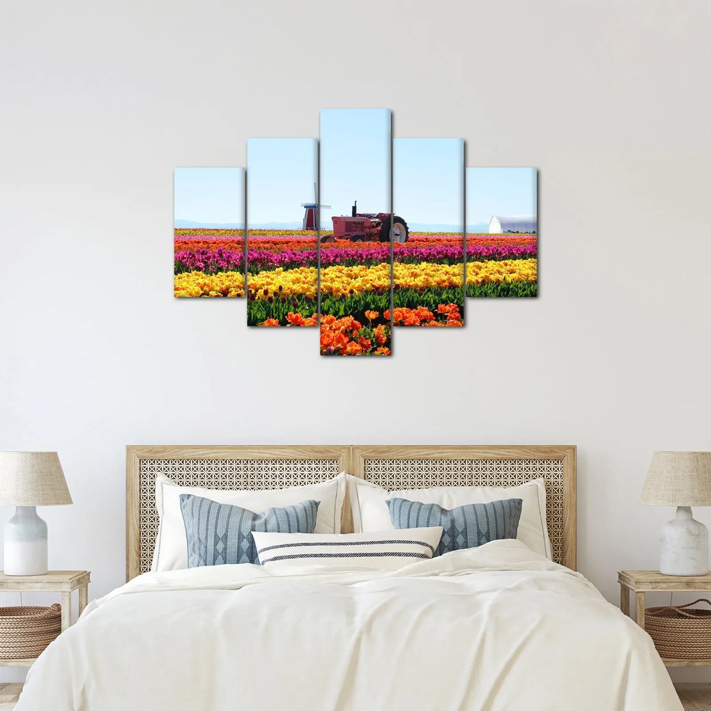 Obraz tulipánové farmy (150x105 cm)