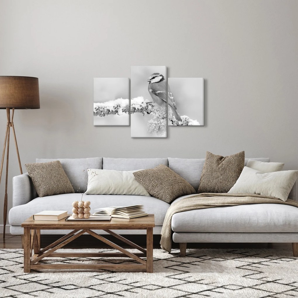 Obraz - Vtáčik na vetve (90x60 cm)