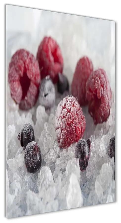 Foto obraz akrylový do obývačky Mrazené ovocie pl-oa-70x140-f-90017236