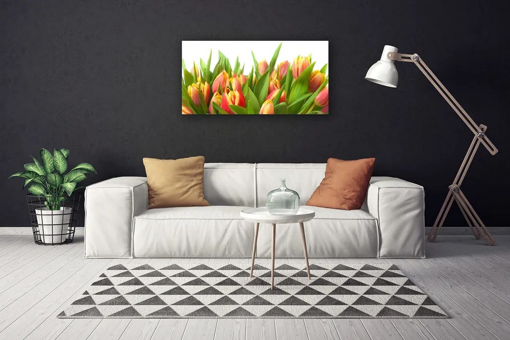 Obraz Canvas Tulipány kvety rastlina 100x50 cm