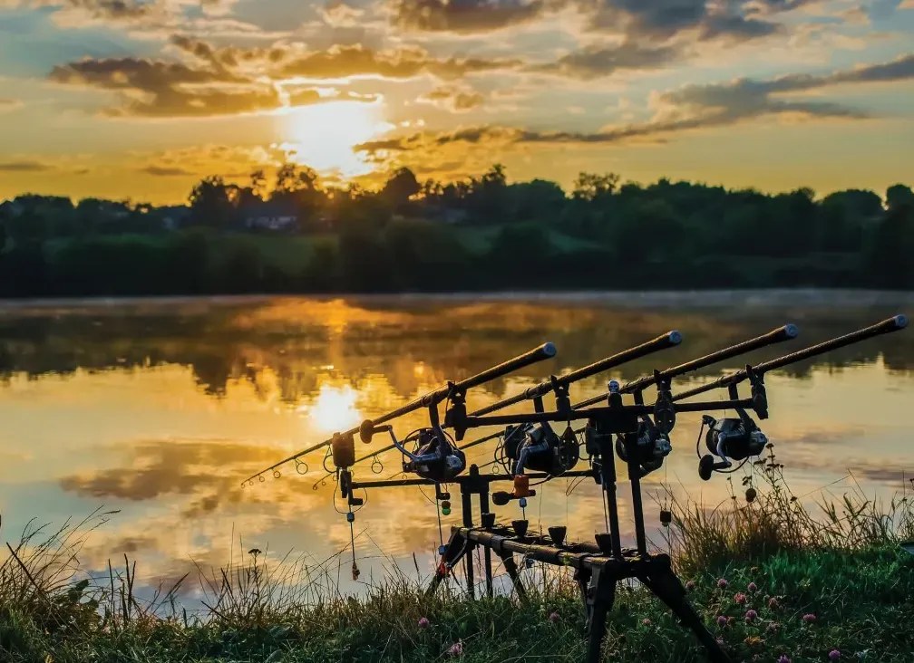 Manufakturer -  Tapeta Rods at sunset