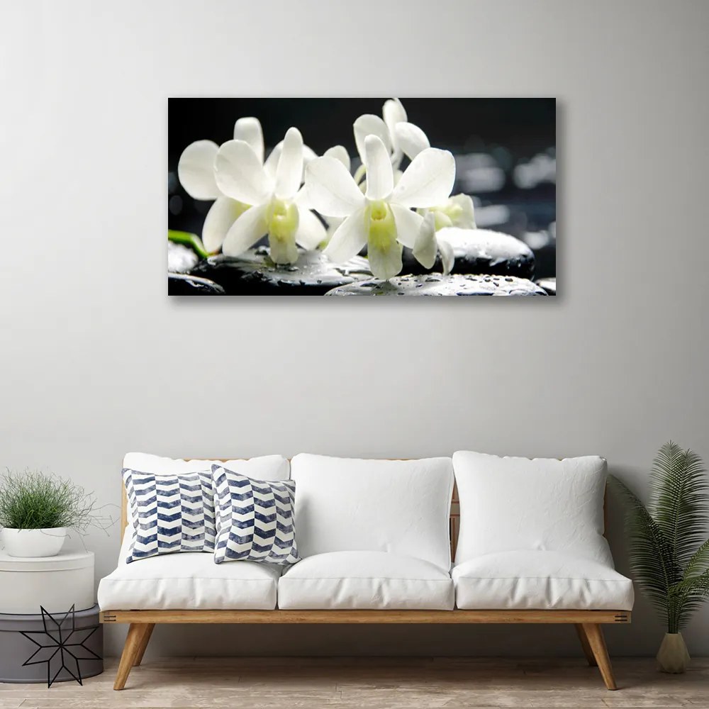 Obraz Canvas Kamene kvety orchidea 125x50 cm