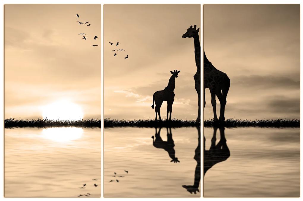 Obraz na plátne - Žirafy silueta 1919FB (105x70 cm)