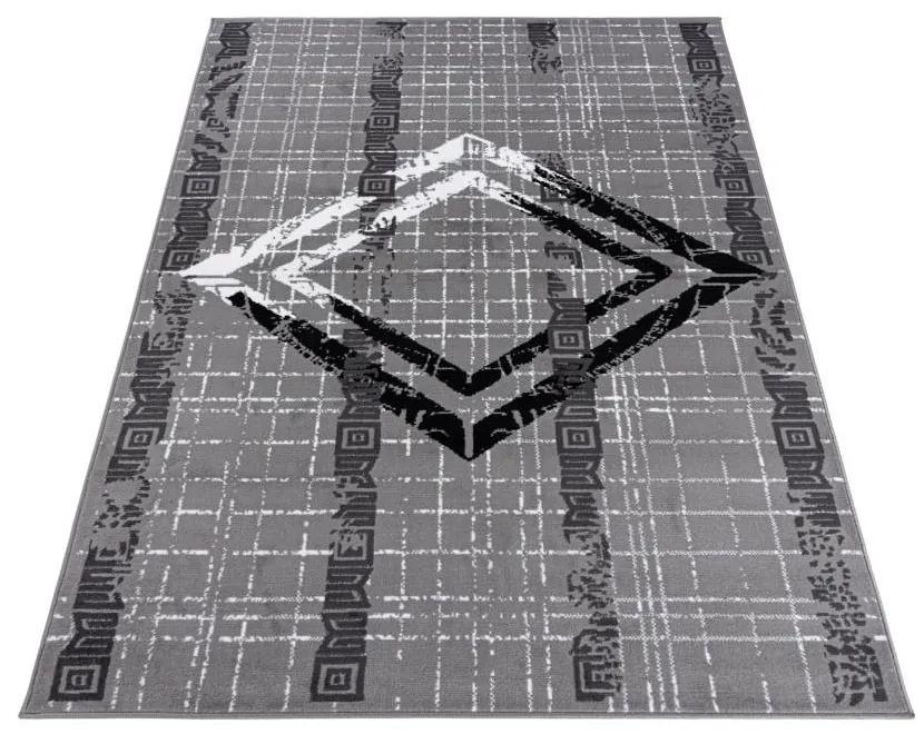 Kusový koberec PP Agios sivý 120x170cm