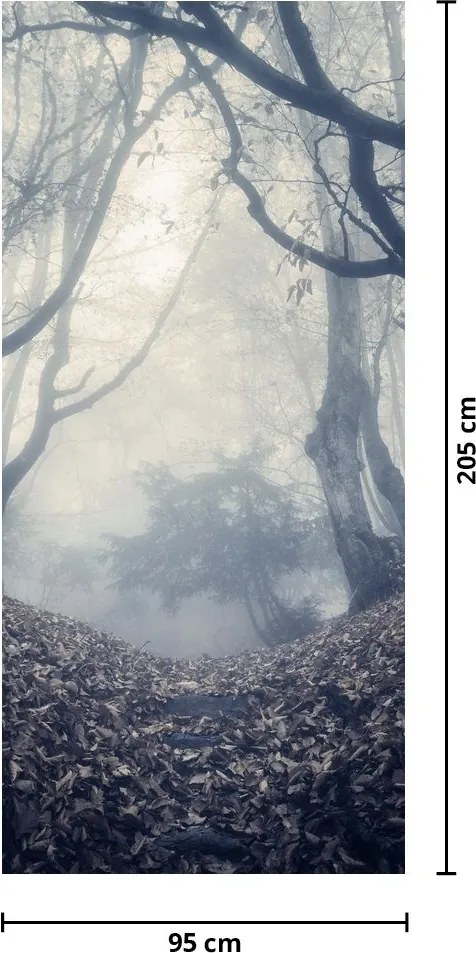Fototapeta na dvere - Les v hmle (95x205cm)