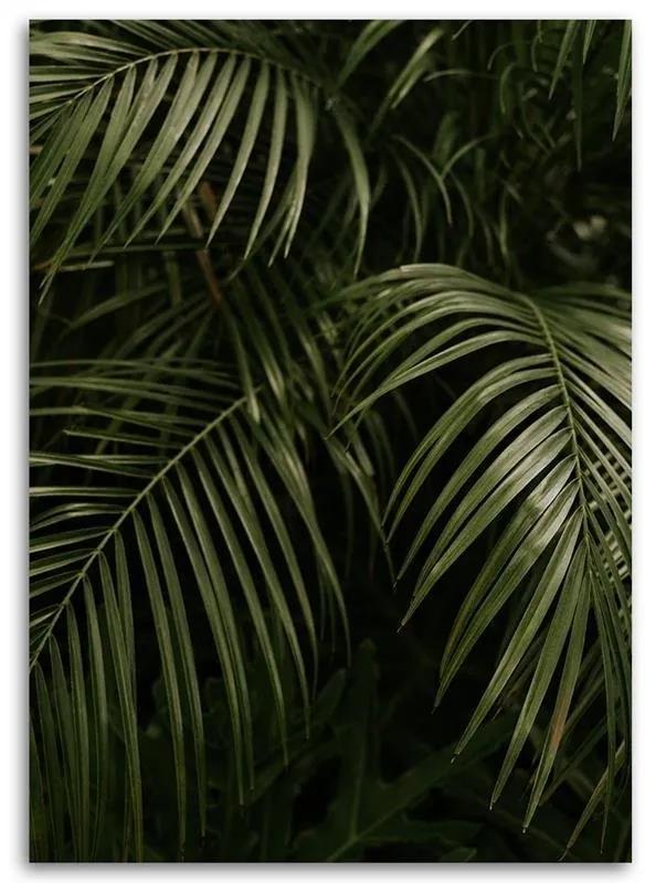 Gario Obraz na plátne Zelené palmové listy Rozmery: 40 x 60 cm