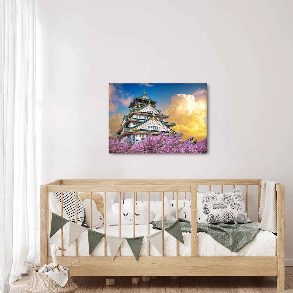 Obraz - Osacký hrad (70x50 cm)