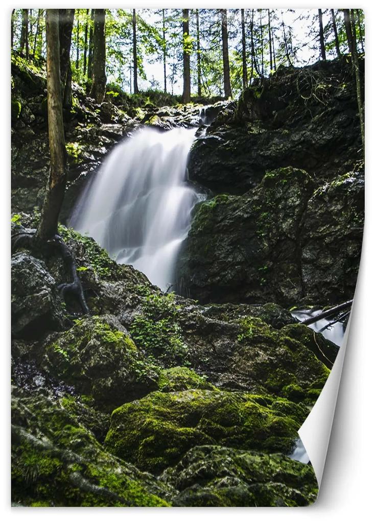 Gario Fototapeta Vodopád uprostred lesa Materiál: Vliesová, Rozmery: 100 x 140 cm