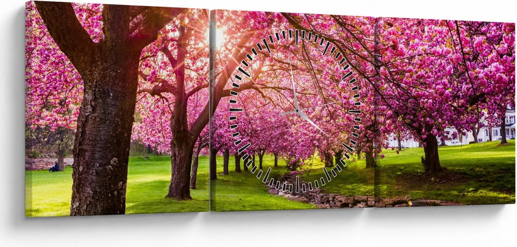 Obraz rozkvitnutých čerešní, Hurd Park, Dover, New Jersey (s hodinami) (90x30 cm)