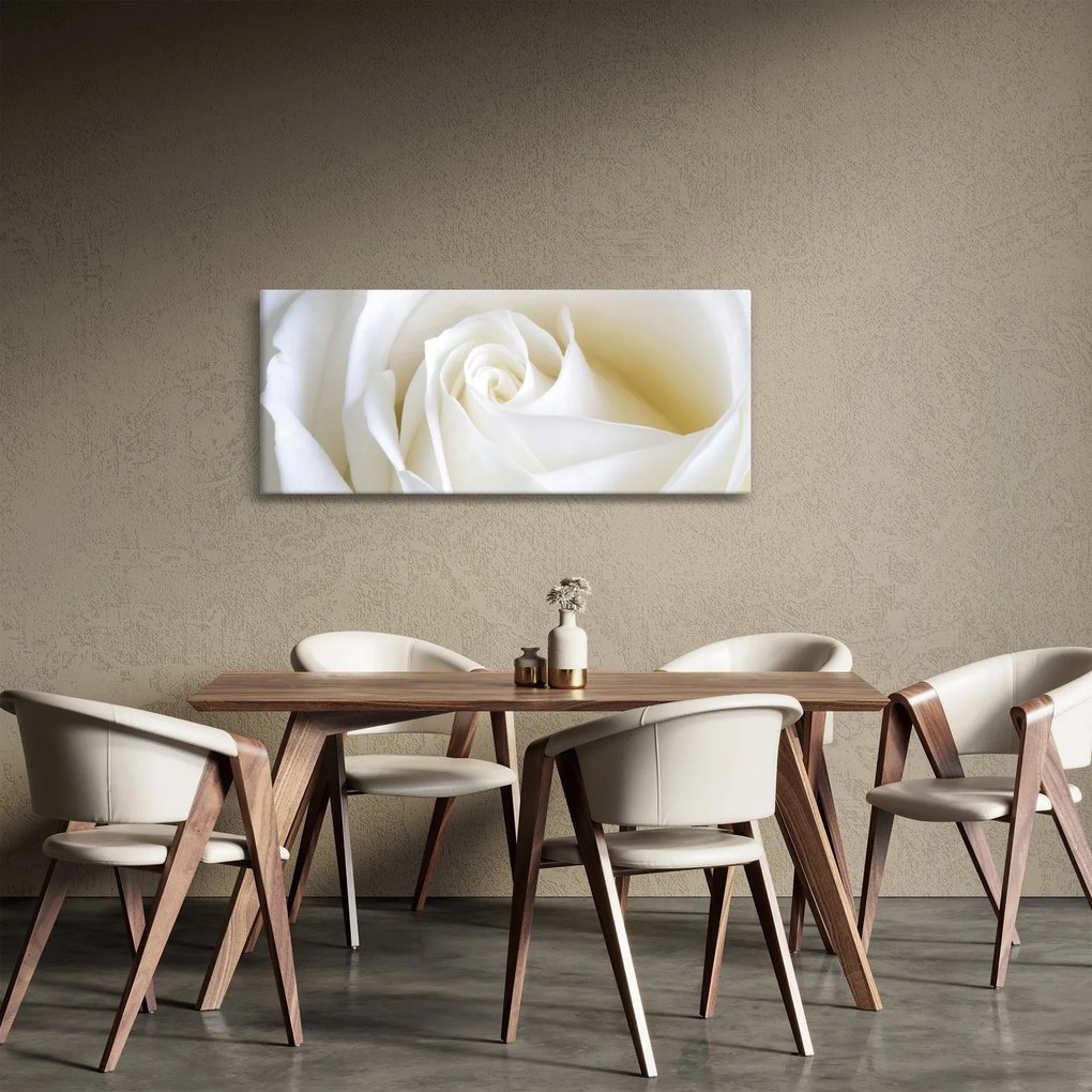 Obraz biele ruže (120x50 cm)