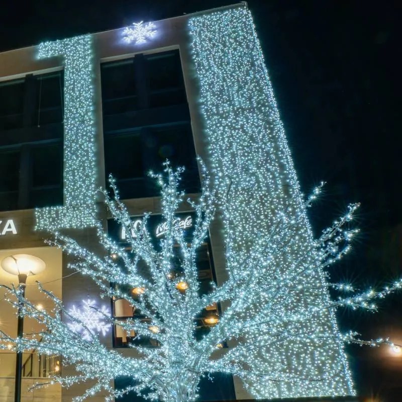 DECOLED LED světelná záclona, 1x3 m, ledově bílá, 300 diod, IP67