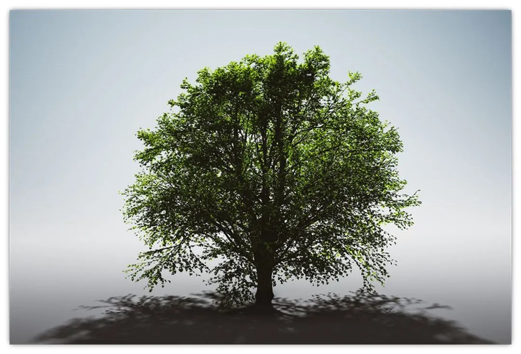 Obraz - Osamotený strom (90x60 cm)