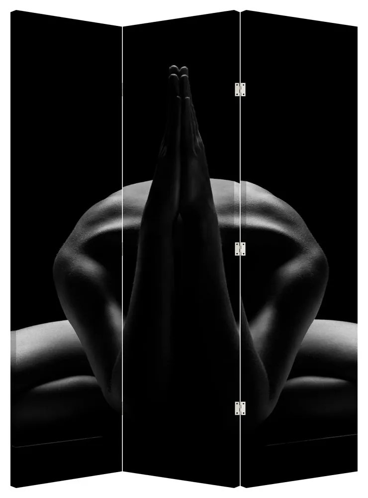 Paraván - Ženský akt (126x170 cm)