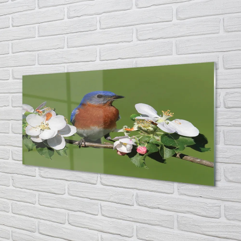 Nástenný panel  Kvety farebné papagáj 125x50 cm