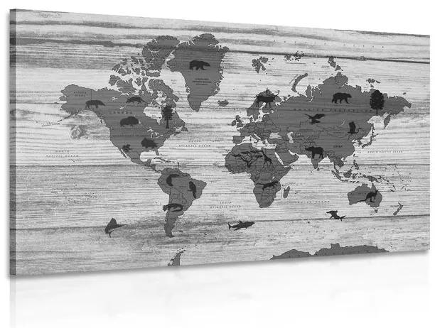 Obraz čiernobiela mapa na drevenom podklade - 120x80