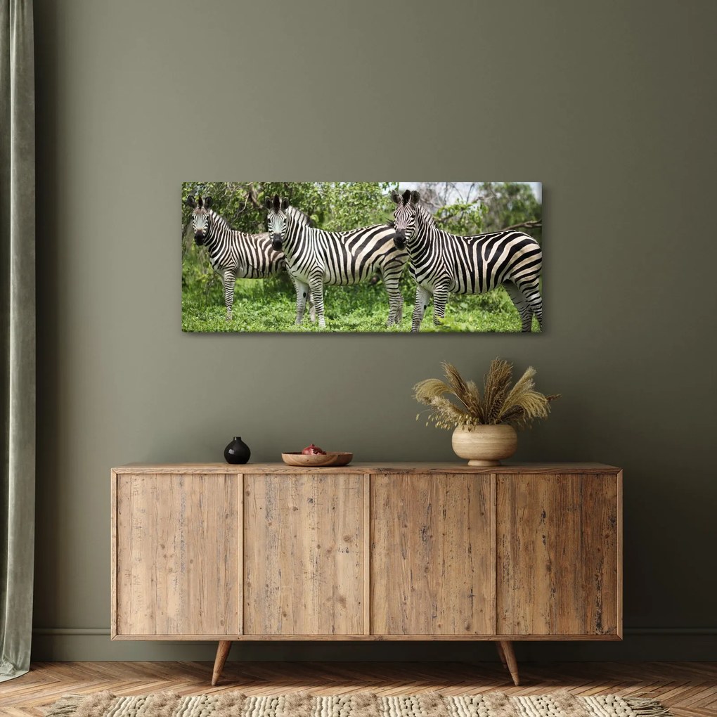 Obraz so zebrami (120x50 cm)