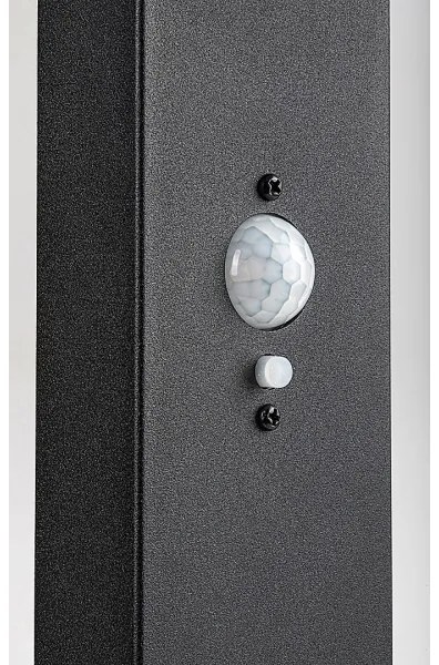 Rabalux 77079 - LED solárna vonkajšia lampa LASSET LED/4,4W/3,7V IP54 antracit