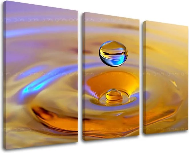 Obraz na stenu FENG SHUI