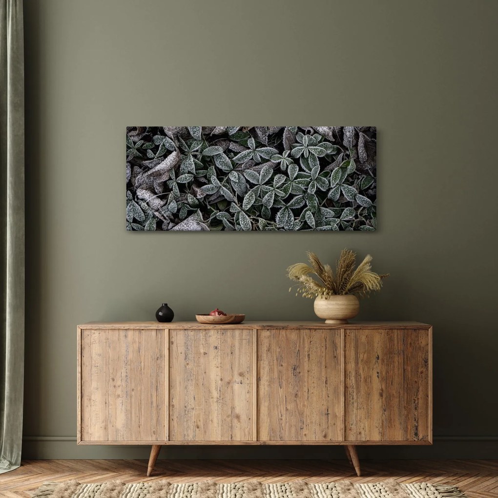 Obraz - Zamrznuté rastliny (120x50 cm)