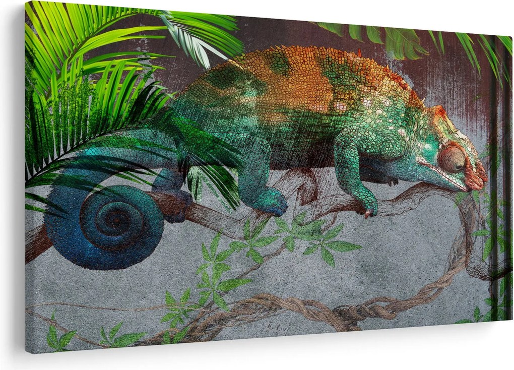 Obraz - Chameleon (90x60 cm)