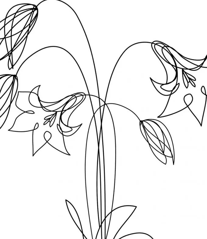 La forma Design studio Wild 30x40 cm