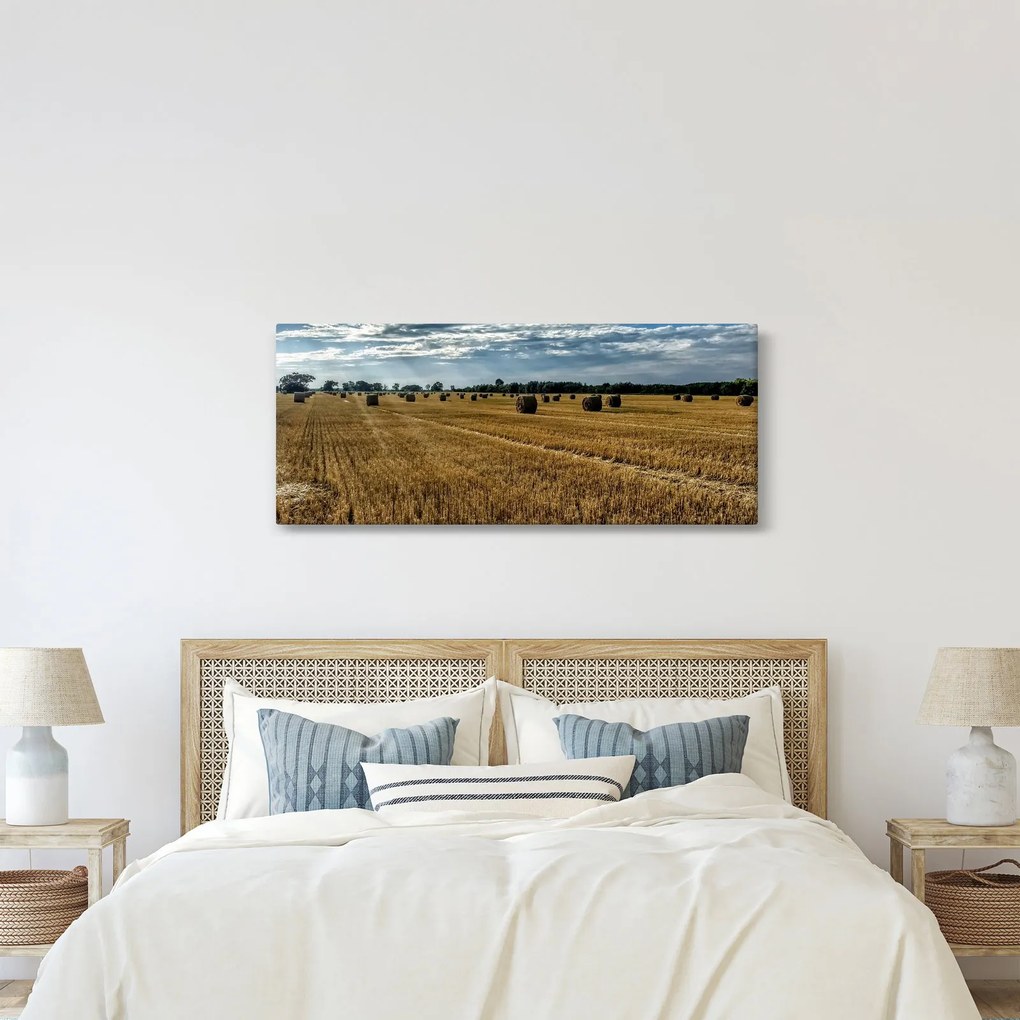 Obraz zozbieraného obilného poľa (120x50 cm)